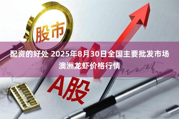 配资的好处 2025年8月30日全国主要批发市场澳洲龙虾价格行情