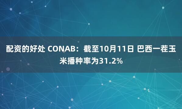 配资的好处 CONAB：截至10月11日 巴西一茬玉米播种率为31.2%