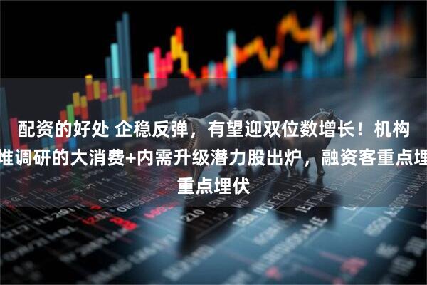 配资的好处 企稳反弹，有望迎双位数增长！机构扎堆调研的大消费+内需升级潜力股出炉，融资客重点埋伏