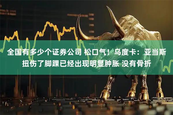 全国有多少个证券公司 松口气！乌度卡：亚当斯扭伤了脚踝已经出现明显肿胀 没有骨折