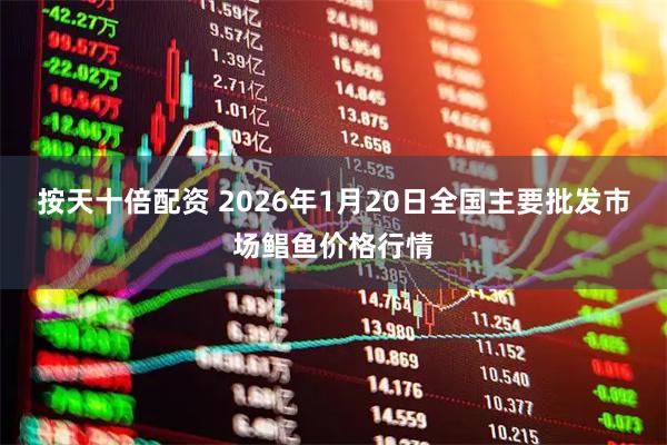 按天十倍配资 2026年1月20日全国主要批发市场鲳鱼价格行情
