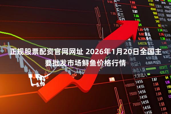 正规股票配资官网网址 2026年1月20日全国主要批发市场鲟鱼价格行情